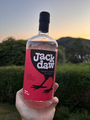Jackdaw Apple & Raspberry gin liqueur, 70cl bottle