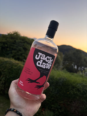 Jackdaw Apple & Raspberry held against the hills at sunset