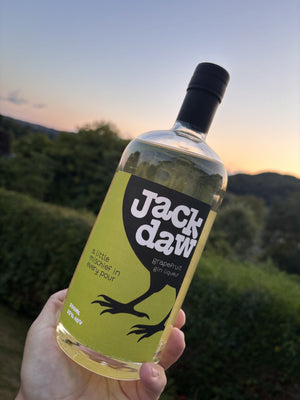 Jackdaw Grapefruit gin liqueur, 70cl bottle