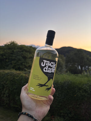 Jackdaw Grapefruit held against the hills at sunset