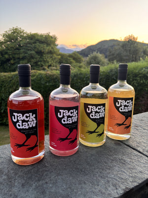 All four Jackdaw gin liqueurs together - Strawberry & Lime, Apple & Raspberry, Grapefruit and Blood Orange