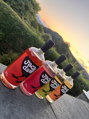 The four Jackdaw gin liqueurs lined up at sunset
