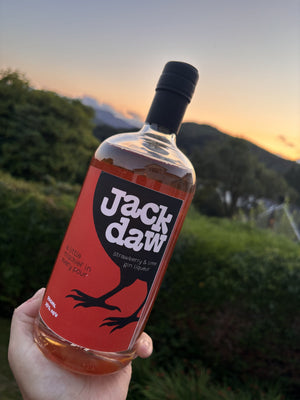 Jackdaw Strawberry & Lime held against the hills at sunset