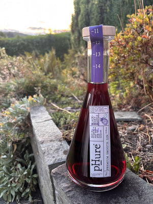 pHure Blackberry & Apple Gin, 70cl bottle on a stone wall
