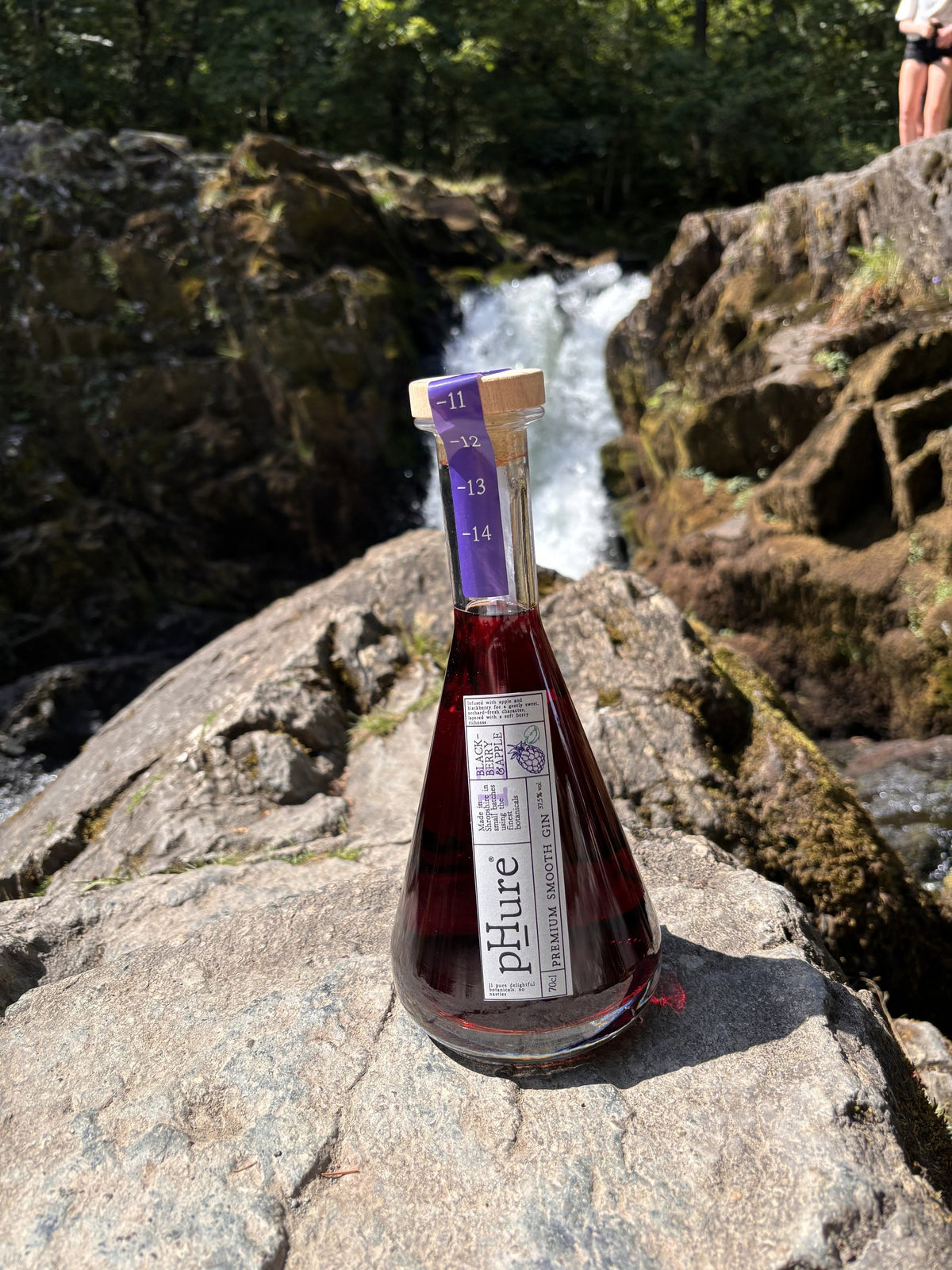 pHure Blackberry & Apple — 70cl bottle