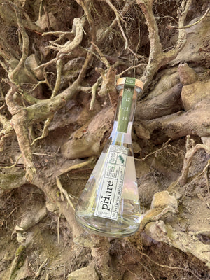 pHure Dry Gin resting among tree roots