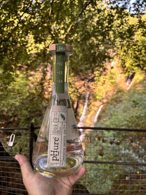 pHure Dry Gin held in autumn woodland
