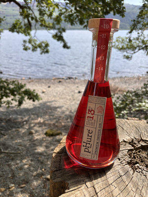pHure Pink Gin on a tree stump by the lake