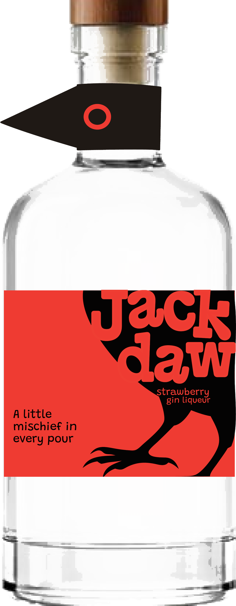 Jackdaw